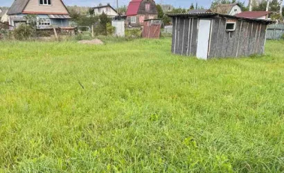  Солнечное-2010