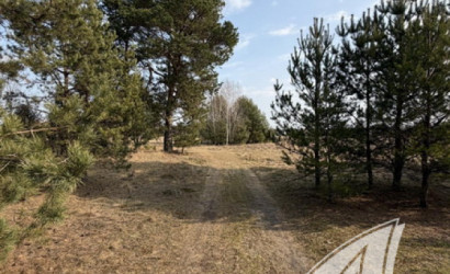 Купить участок, Дубица, Домачевский с/с, 24.9 соток. Фото 11