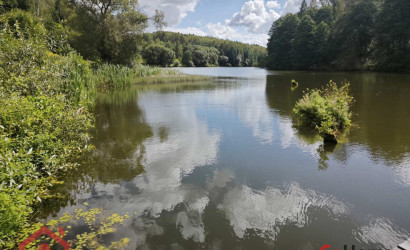 Купить участок, Мончаки, Лесная, 15 соток. Фото 39