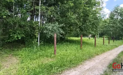  Олехновичи(15)