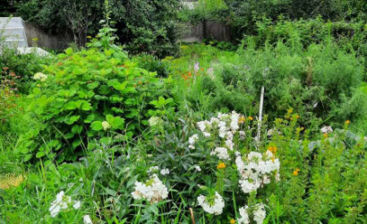 Купить дом, Витебск, Кольцова, 7.5 соток. Фото 4