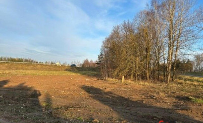 Купить участок, Ожелеи, 25 соток. Фото 4