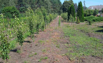 Продажа помещения, Рудка, Советская,  142.4 кв.м.. Фото 17