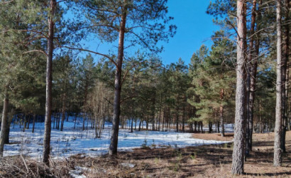 Купить участок, Вишневый сад, 14 соток. Фото 10