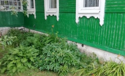 Купить дом, Борки, ул.Центральная д.31, 25 соток. Фото 1