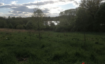 Купить участок, Большие Летцы, Советская 1В, 50 соток. Фото 2