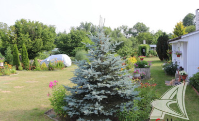 Купить дом, Леплевка, Домачевский с/с, 25 соток. Фото 24