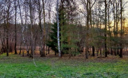 Купить дом, Марковщина, Луговая ул., 30, 14.93 соток. Фото 33