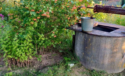 Купить дачу, Тихиничи, Виноградная 161, 10 соток. Фото 6