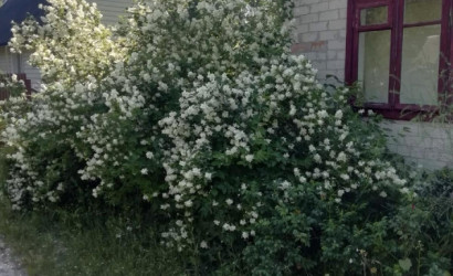 Купить участок, Лесок-1, 5.11 соток. Фото 9