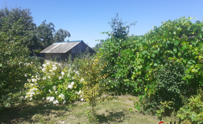 Купить дачу, Полочаны, СТ Зрок -2 , 11 соток. Фото 5