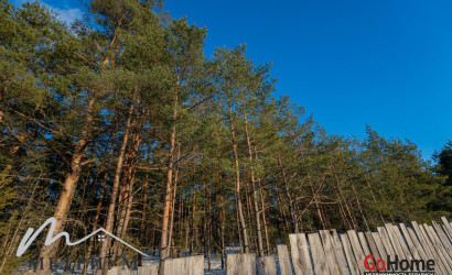 Купить дом, -Борок, Лесная ул., 22.42 соток. Фото 14