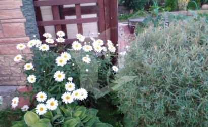 Купить дом в деревне, Оптик-Узборье, 4.42 соток. Фото 9