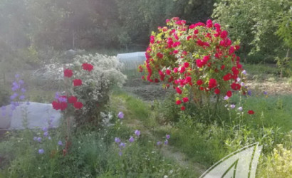 Купить дачу, Брест, Мотыкальский с/с, 5.11 соток. Фото 14