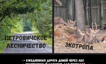 Купить коттедж, Брест, Московская ул., 15 соток. Фото 2