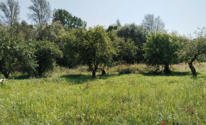 Купить дом, Осиновка, 1-й Осиновский, 3, 24.99 соток. Фото 21