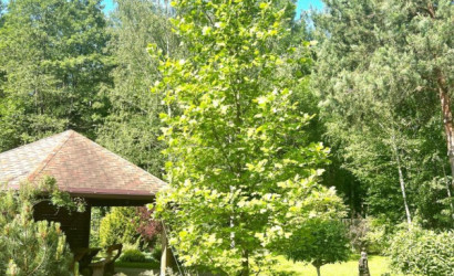 Купить дом в деревне, Чистая Криница, 8.92 соток. Фото 43