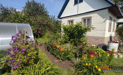 Купить дачу, Борок, Станция Вендорож. Садоводческое товарищество Физик-1980, 10 соток. Фото 11