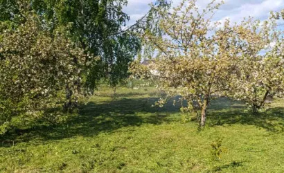  1-этаж.(45 м2), Еськовичи(29)
