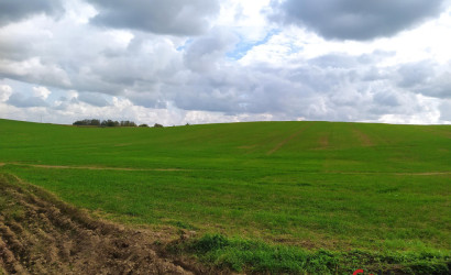 Купить дом, Новашино, Центральная ул., 41, 15.76 соток. Фото 41
