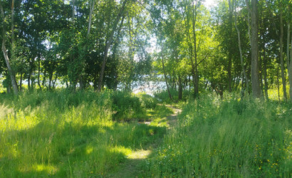 Купить дом, Ивесь, Школьная ул., 20 соток. Фото 9