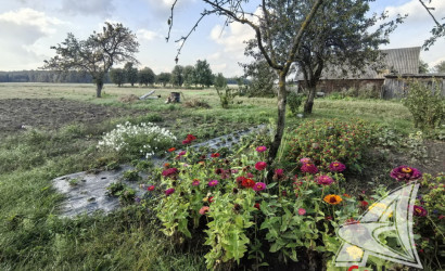 Купить дом, Березняки, Пелищенский с/с, 18.64 соток. Фото 4