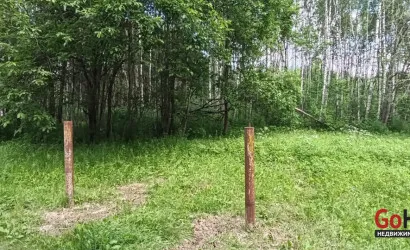  Олехновичи(15)
