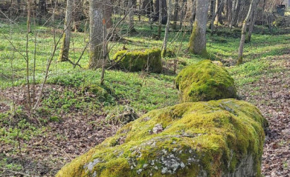 Купить дом в деревне, ЧАРОВНИЦА, 6.95 соток. Фото 9