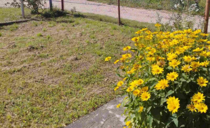 Купить дом, Лида, Осликовского ул., 14/А, 5 соток. Фото 6