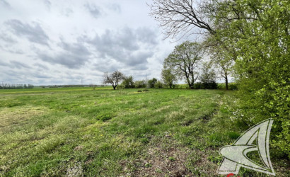 Купить дом, Кошилово, Лыщицкий с/с, 25 соток. Фото 37