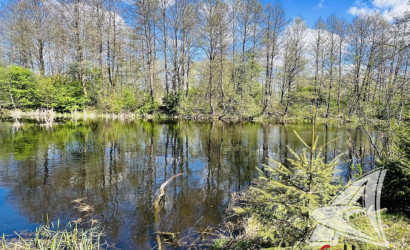 Купить дом, Гули, Мухавецкий с/с, 24.29 соток. Фото 17