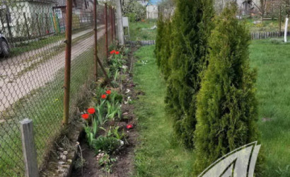 Купить дачу, Брест, Мухавецкий с/с, 5 соток. Фото 11