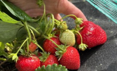 Купить дом в деревне, Лыковичи, Лыковичи, 84, 17 соток. Фото 19