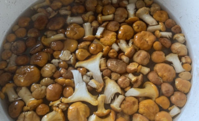 Купить дом в деревне, Дворица, Школьная, 4, 40 соток. Фото 14