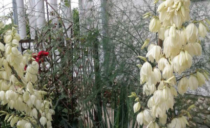 Купить коттедж, Красная Слобода, Советская, 23 соток. Фото 18