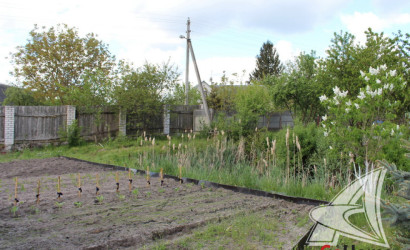 Купить дом, Брест, Гершоны, 25 соток. Фото 14