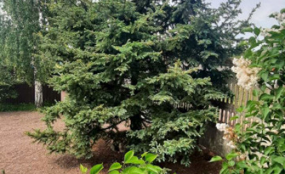 Купить дом, Городок, Заводская, 15 соток. Фото 21