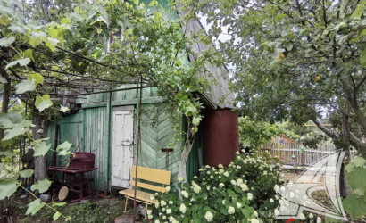Купить дачу, Брест, Чернавчицкий с/с, 4.99 соток. Фото 4