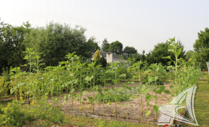 Купить дом, Леплевка, Домачевский с/с, 25 соток. Фото 37