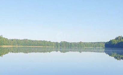 Купить дом, Товщина, 25 соток. Фото 10