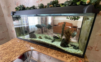 Купить 1-комнатную квартиру, Гродно, Телеграфная, 22А. Фото 8