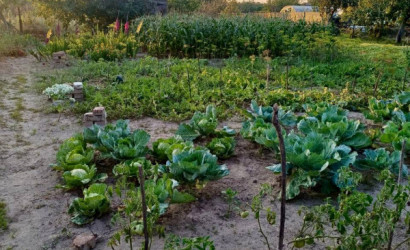 Купить дачу, Тихиничи, Виноградная 161, 10 соток. Фото 8