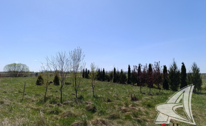 Купить дом, Луково, Луковский с/с, 24.99 соток. Фото 31