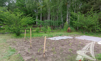 Купить участок, Брест, Мухавецкий с/с, 6.97 соток. Фото 20