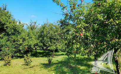 Купить дом, Чернавчицы, Чернавчицкий с/с, 9.44 соток. Фото 16