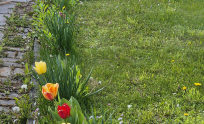 Купить дом в деревне, Теплотехник, 8.29 соток. Фото 10