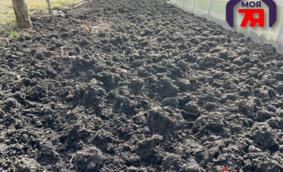 Купить участок, Новые земли, 7.52 соток. Фото 13