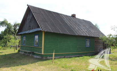 Купить дом, Франополь, Радваничский с/с, 25 соток. Фото 30