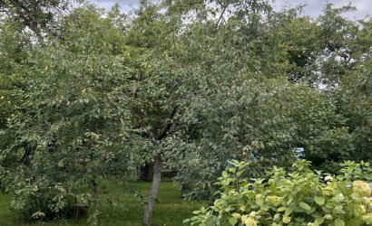 Купить 2-комнатную квартиру, Островля, Зеленая ул., 43/1. Фото 21