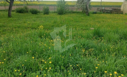 Купить дом, Жилевщина, 43 соток. Фото 21